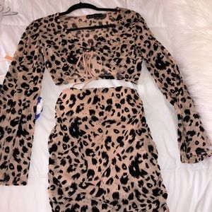 Cheetah set